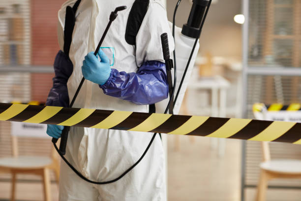 Professional Sewage Cleanup technician working in Folcroft, PA